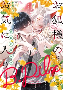 B.Pilz　ｖｏｌ．63