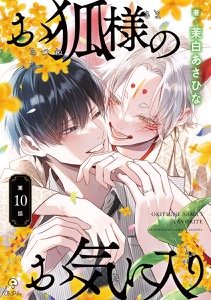 お狐様のお気に入り