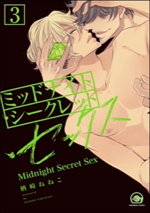 ミッドナイト・シークレット・セックス（分冊版） 【第3話】 【シリーズ2】