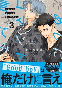 ためしにコマンド言ってみた （3） 【電子限定かきおろし漫画付】