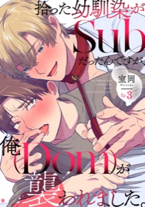 拾った幼馴染がSubだったんですが、俺が襲われました。 Ep.3