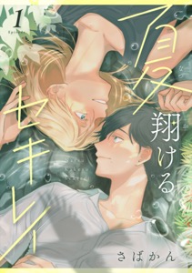 夏翔けるセキレイ