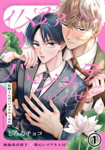 仏野くんはハジメテのくせに